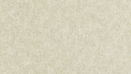 Shagreen 312908